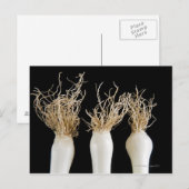 Carte Postale Trois oignons de printemps (Devant / Derrière)