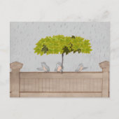 Carte Postale Trois oiseaux sous la pluie (Devant)