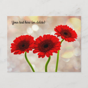Carte postale Trois petites gerbera rouges
