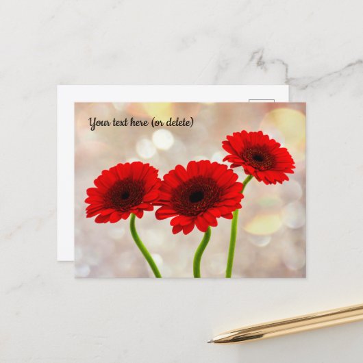 Carte postale Trois Petites Gerberas Rouges (Devant/Arrière en situation)