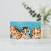 Carte Postale Trois petits chatons mignons, Din-din s'il vous pl (Debout devant)