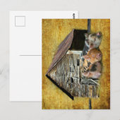 Carte Postale Trois Petits Cochons À La Grange Rustique Snoozing (Devant / Derrière)