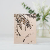 Carte Postale Trois petits poissons (Debout devant)