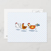 Carte Postale Trois poules (Devant / Derrière)