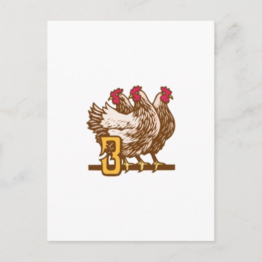 Carte Postale Trois poules françaises (Devant)