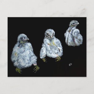 Carte Postale Trois pousses à céréales