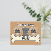 Carte Postale Trois Pugs (Debout devant)