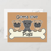 Carte Postale Trois Pugs (Devant / Derrière)