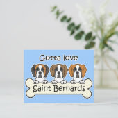 Carte Postale Trois Saint-Bernard (Debout devant)