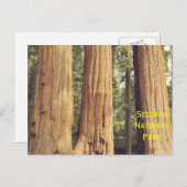 Carte Postale Trois Soeurs (Devant / Derrière)