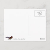 Carte Postale Trois soeurs au Parc national des Arches (Dos)