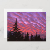 Carte Postale Trois Soeurs Wilderness, Oregon (Devant / Derrière)