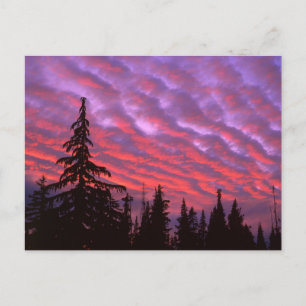 Carte Postale Trois Soeurs Wilderness, Oregon