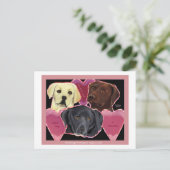 Carte postale Trois Sweet Labs (Debout devant)