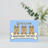 Carte Postale Trois Terriers australiens (Debout devant)