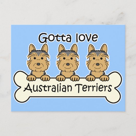 Carte Postale Trois Terriers australiens (Devant)