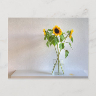 Carte Postale Trois tournfleurs