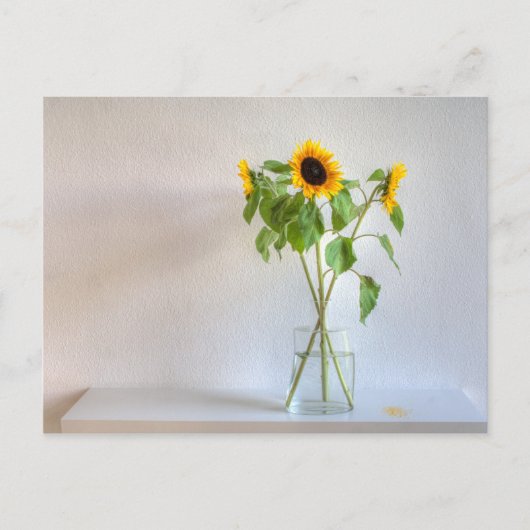 Carte Postale Trois tournfleurs (Devant)