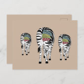 Carte Postale Trois zèbres (Devant / Derrière)