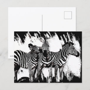 Carte Postale Trois zèbres peignant