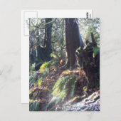 Carte Postale "troll" forestier dans la neige #2 (Devant / Derrière)