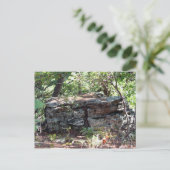 Carte Postale Troll House (Debout devant)