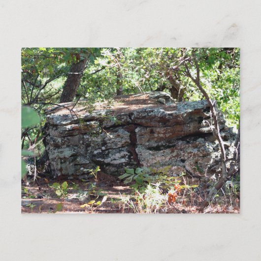 Carte Postale Troll House (Devant)