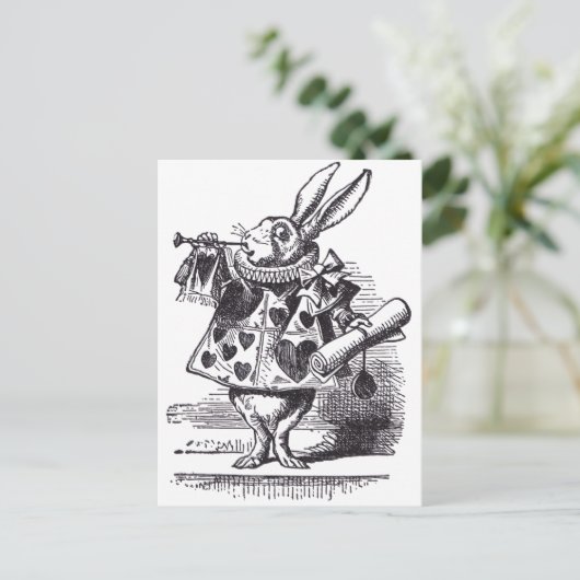 Carte Postale Trompette de lapin blanc (Debout devant)
