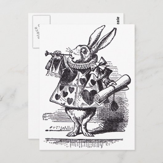 Carte Postale Trompette de lapin blanc (Devant / Derrière)