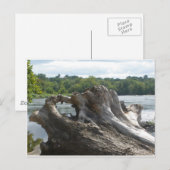 Carte Postale Tronçon sur James River (Devant / Derrière)