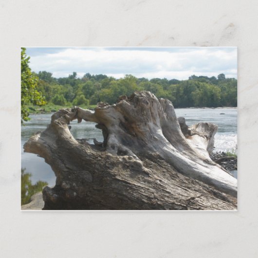 Carte Postale Tronçon sur James River (Devant)
