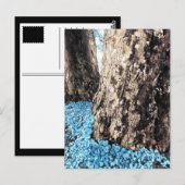 Carte Postale troncs d'arbre (Devant / Derrière)