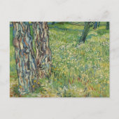 Carte Postale Troncs d'arbre Grass Vincent van Gogh (Devant)