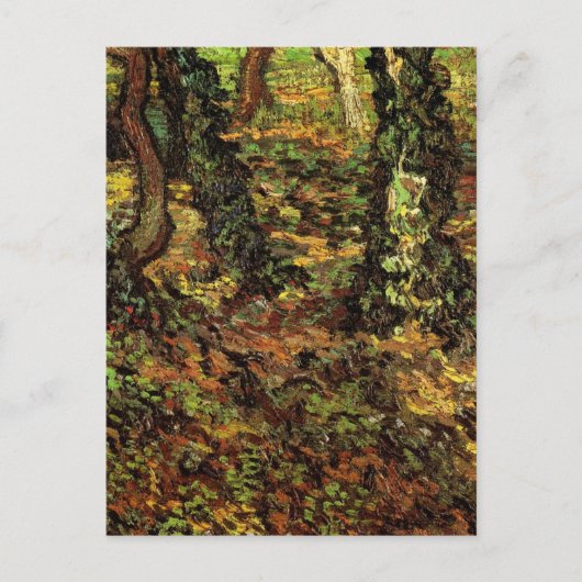 Carte Postale Troncs d'arbres avec lierre par Vincent van Gogh (Devant)