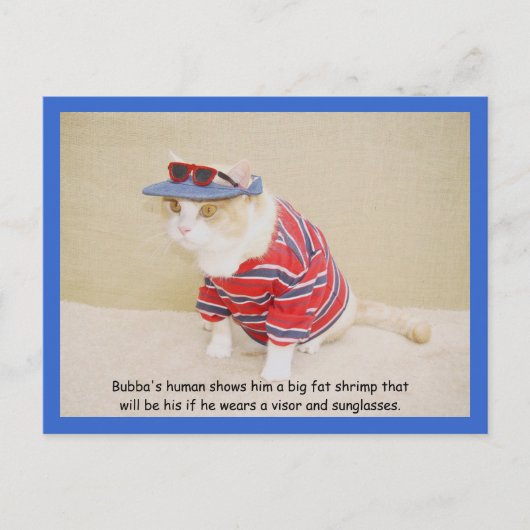 Carte Postale Trop Cool Bubba Kitty (Devant)