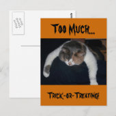 Carte Postale Trop de bêtises ou de traitements ! (Devant / Derrière)