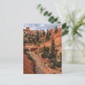 Carte Postale Tropic Ditch (Debout devant)