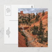 Carte Postale Tropic Ditch (Devant / Derrière)