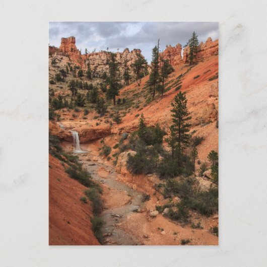 Carte Postale Tropic Ditch (Devant)