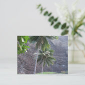 Carte Postale Tropical (Debout devant)