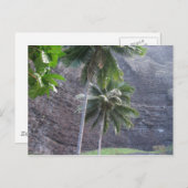 Carte Postale Tropical (Devant / Derrière)