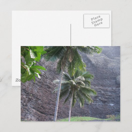 Carte Postale Tropical (Devant / Derrière)