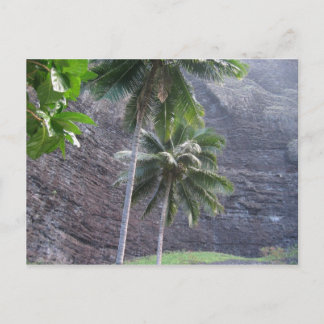 Carte Postale Tropical
