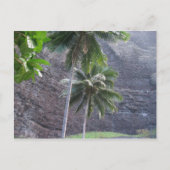 Carte Postale Tropical (Devant)