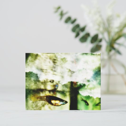 Carte Postale Tropical (Debout devant)