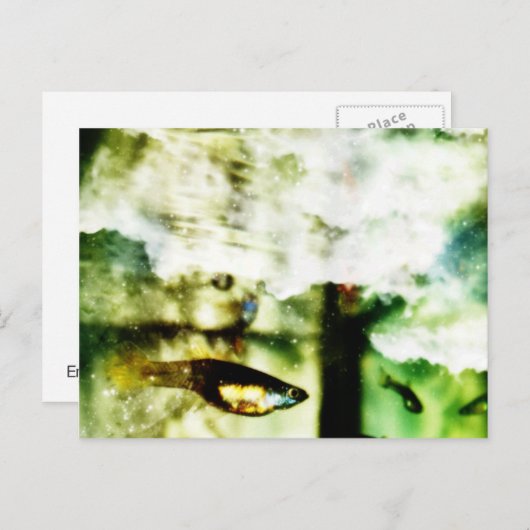 Carte Postale Tropical (Devant / Derrière)