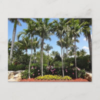 Tropical Coconut Plantation Bonita Springs Floride