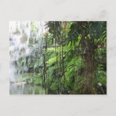 Carte Postale Tropical dream (Devant)