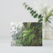 Carte Postale Tropical dream (Debout devant)