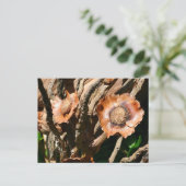 Carte Postale Tropical Dried Coconut Flowers Floral (Debout devant)